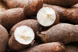 ‘Despite growing momentum, cassava’s industrial leap still facing persistent challenges’