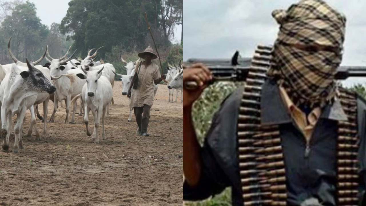 Many feared dead, others injured as herdsmen attack Enugu community
