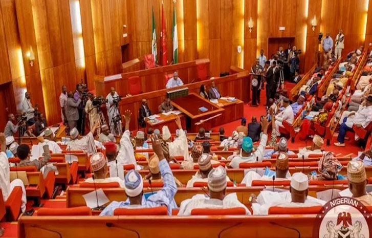 Hardship: Donâ€™t hike electricity tariff â€“ Senate warns Nigerian Govt, to probe N2trn subsidy claim