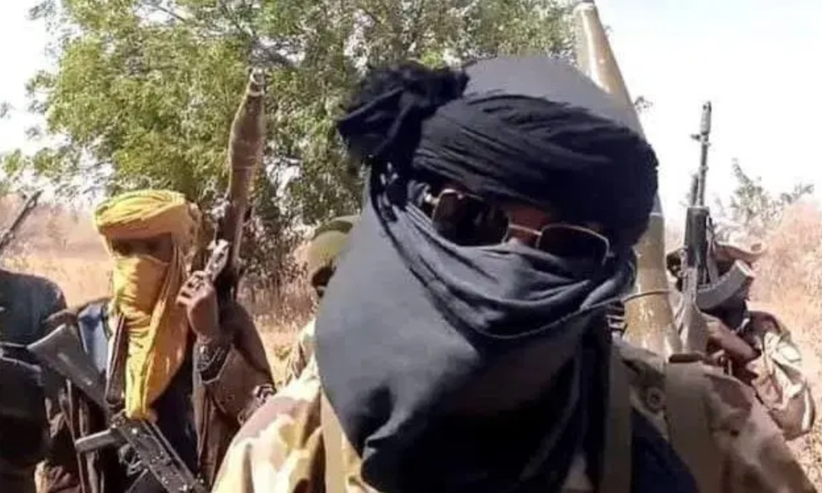 Borgu Emirate under siege as terrorists overrun Niger communities, forests