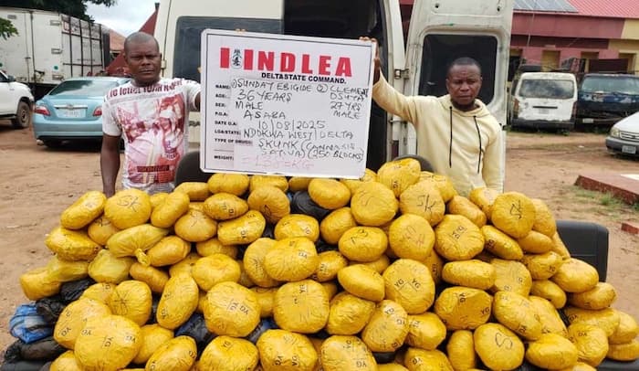 NDLEA Arrests Notorious Drug Kingpin Ibigide After Three-Year Manhunt, Seizes Billions Worth of Narcotics During Nationwide Raid