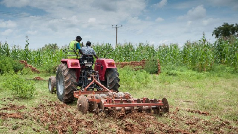 Italy ready to invest in Nigeriaâ€™s agric sector 