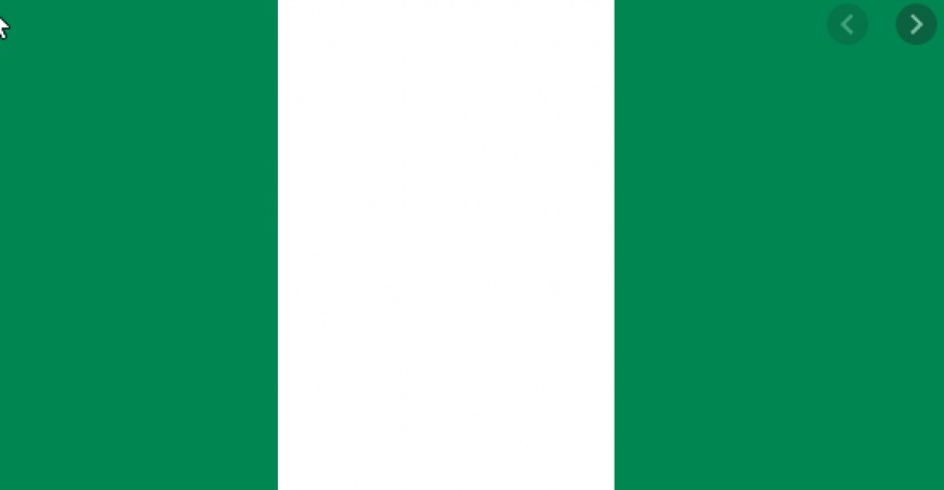 Nigeria to launch coronavirus response action plan