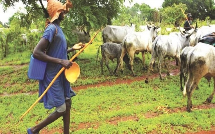 Governors move to douse rising tension over herders