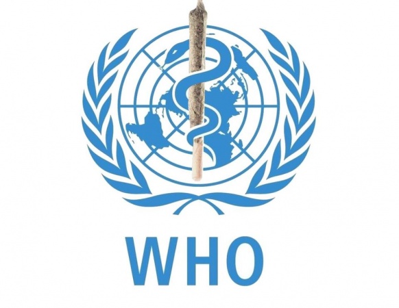 'High risk' that Ebola will spread from Guinea - WHO