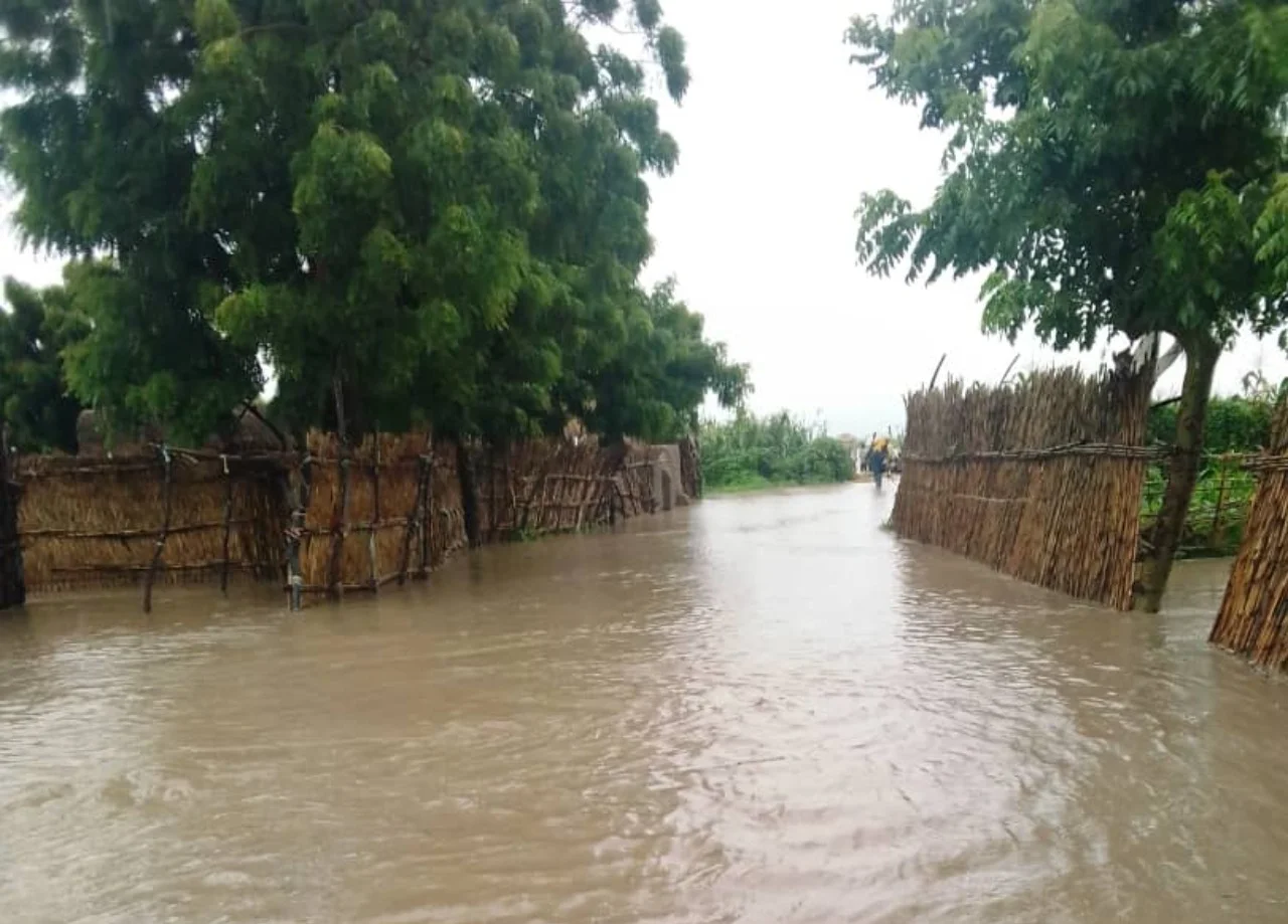 Flood kills 3 persons, sacks 100 households in Yobe