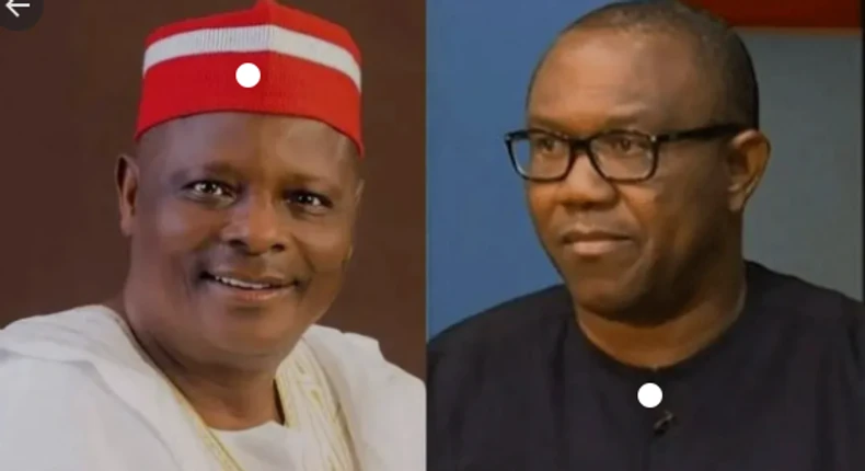 Obi, Kwankwaso may force 2023 election into rerun - US Institutes