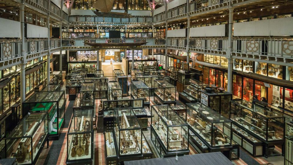 Looted artefacts in Oxford museums could be returned to Nigeria