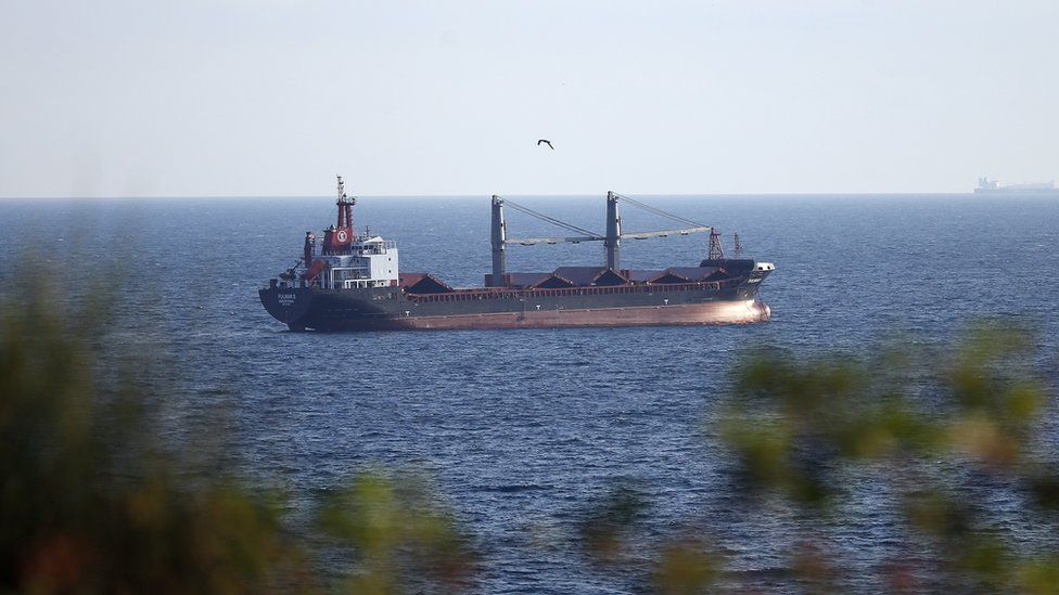 Ukraine war: Four more grain ships leave Ukraine as hopes grow for export stability