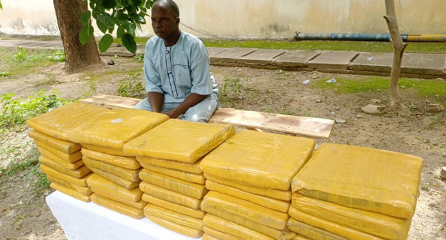 Police Arrest Transborder Indian Hemp Dealer In Katsina