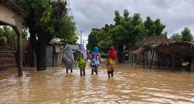 Death Toll Nears 100 In Jigawa Amid Ravaging Floods