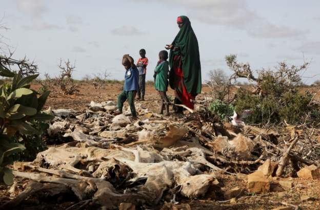 Aid agencies warn of looming catastrophe in Somalia