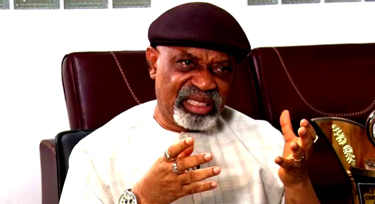 2023: Campaign publicly for Tinubu or resign, APC NWC member challenges Ngige, others