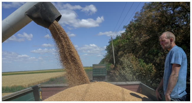 Russia Says Resuming Participation In Ukraine Grain Deal