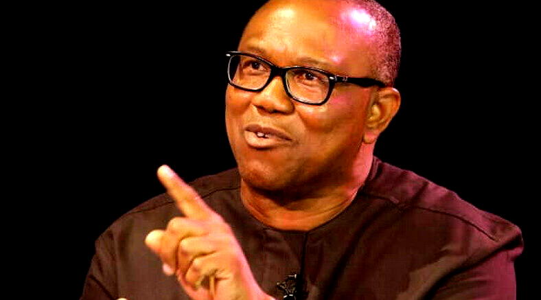 Hold me responsible if I don't change Nigeria "”Peter Obi