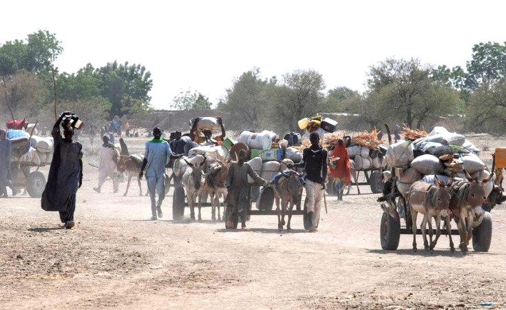 Cameroon, Congo, 3 others host seven million IDPs