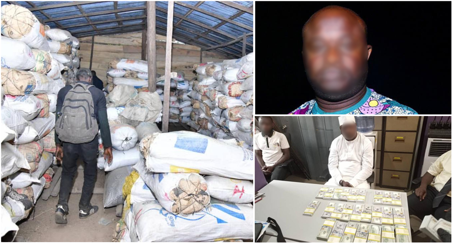 NDLEA, EFCC Destroy Cannabis Warehouses, Seize Fake $269,000 In Edo, Lagos