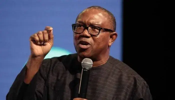 20 years after democracy, Nigeria producing poverty, misery "” Peter Obi