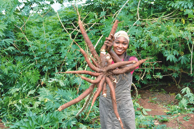 38,000 women, youths benefit from FG/IFAD's $60m livelihood project