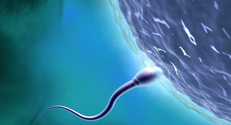 Male contraceptive pills will soon be available