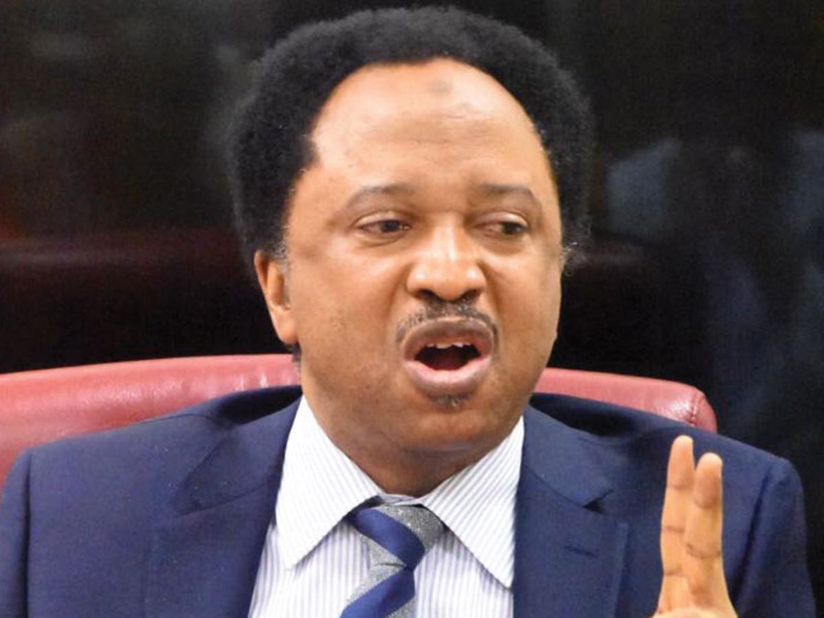 Naira crisis: You didn't write long letter when terrorists massacred Ondo people "“ Shehu Sani slams Akeredolu