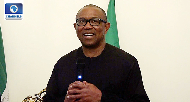 Court Of Appeal To Rule On INEC, Peter Obi's Case On Wednesday