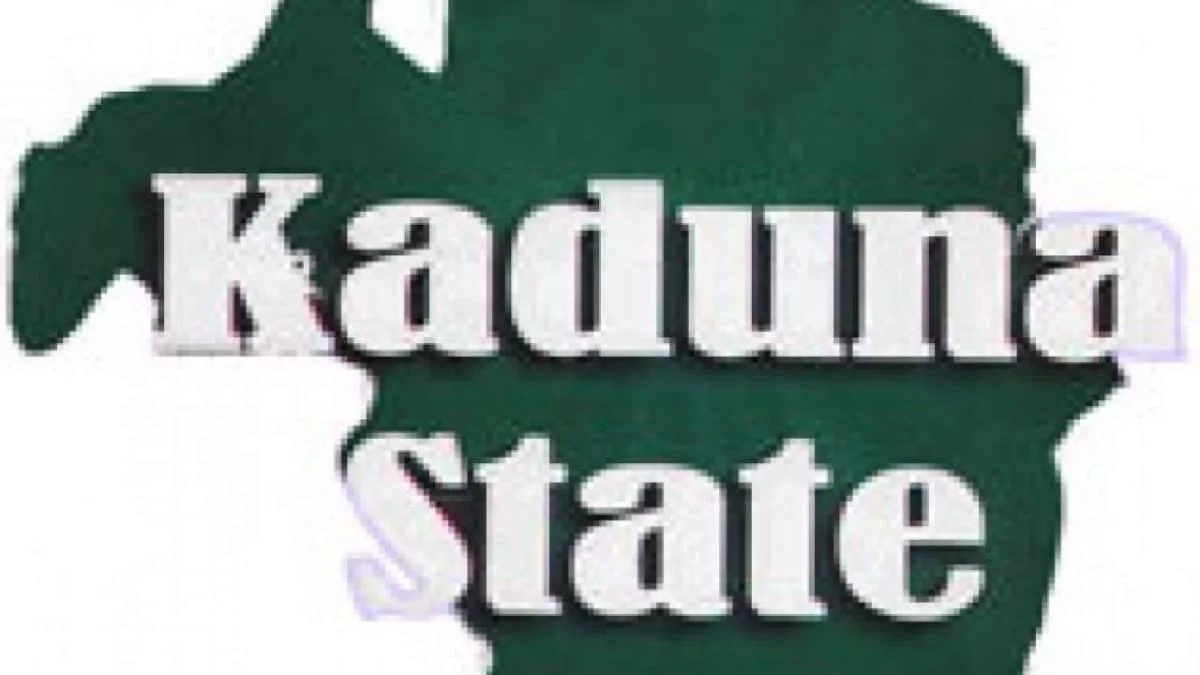 Kaduna Speaker calls for investigation of PRP's Muhammad Ali over unfounded allegations