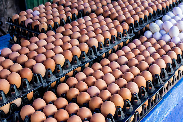 Naira Scarcity: We've Lost N30bn Eggs "“ Poultry Farmers