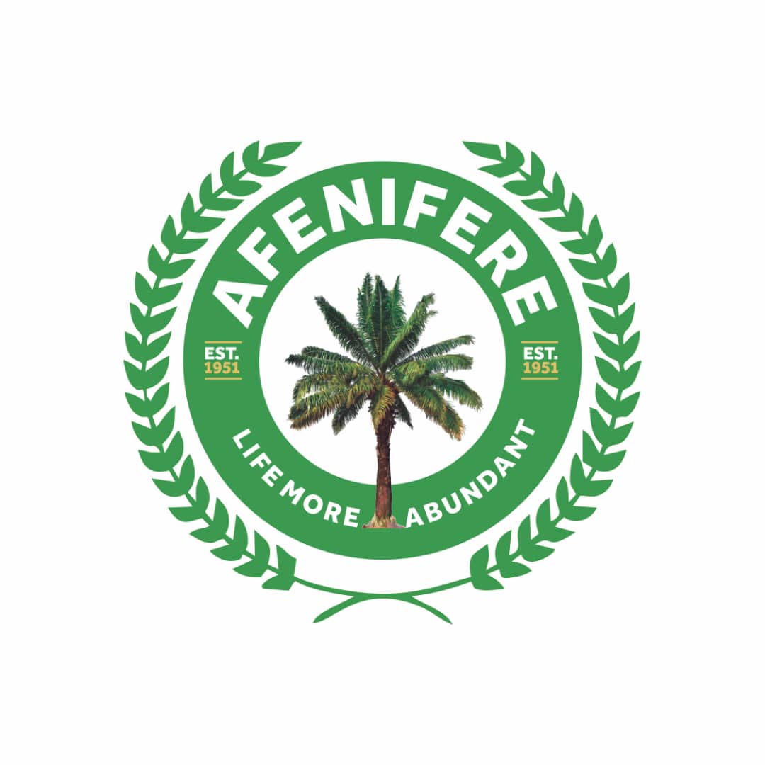 Afenifere Warns Against Interim Govt, Threat To Swearing-in On 29 May