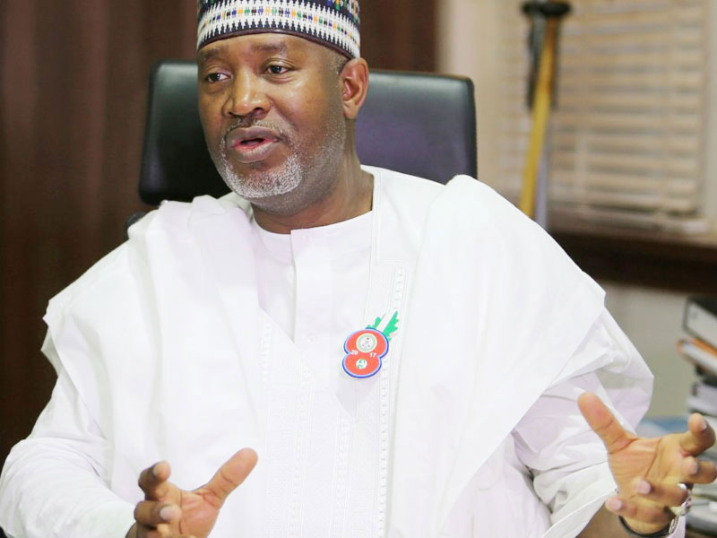 "˜It Will Fly': Nigeria's Aviation Minister Insists Nigeria Air Will Be Operational Before May 29
