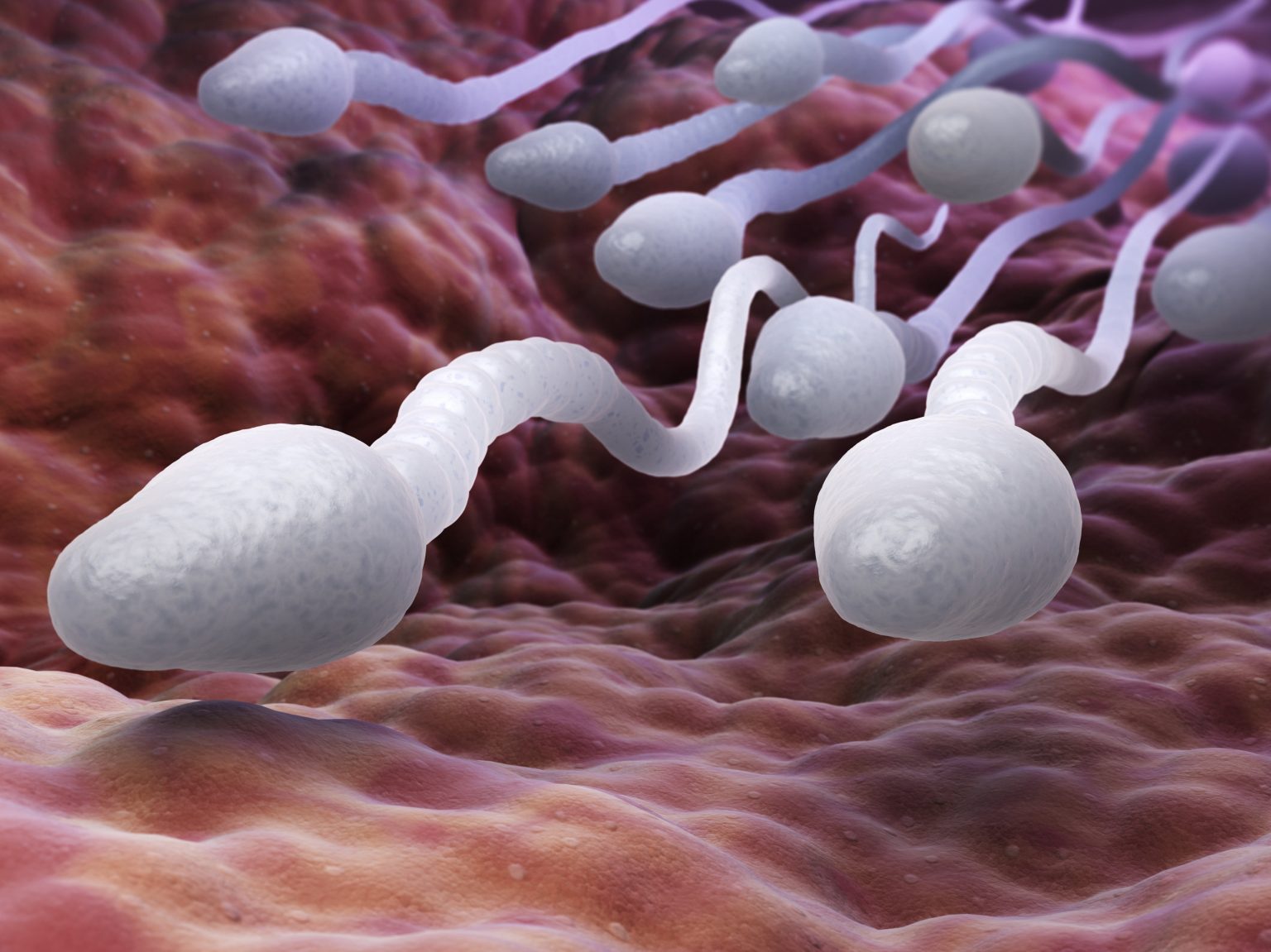 Infertility: Men responsible for 60 per cent causes "“ Expert bares it all