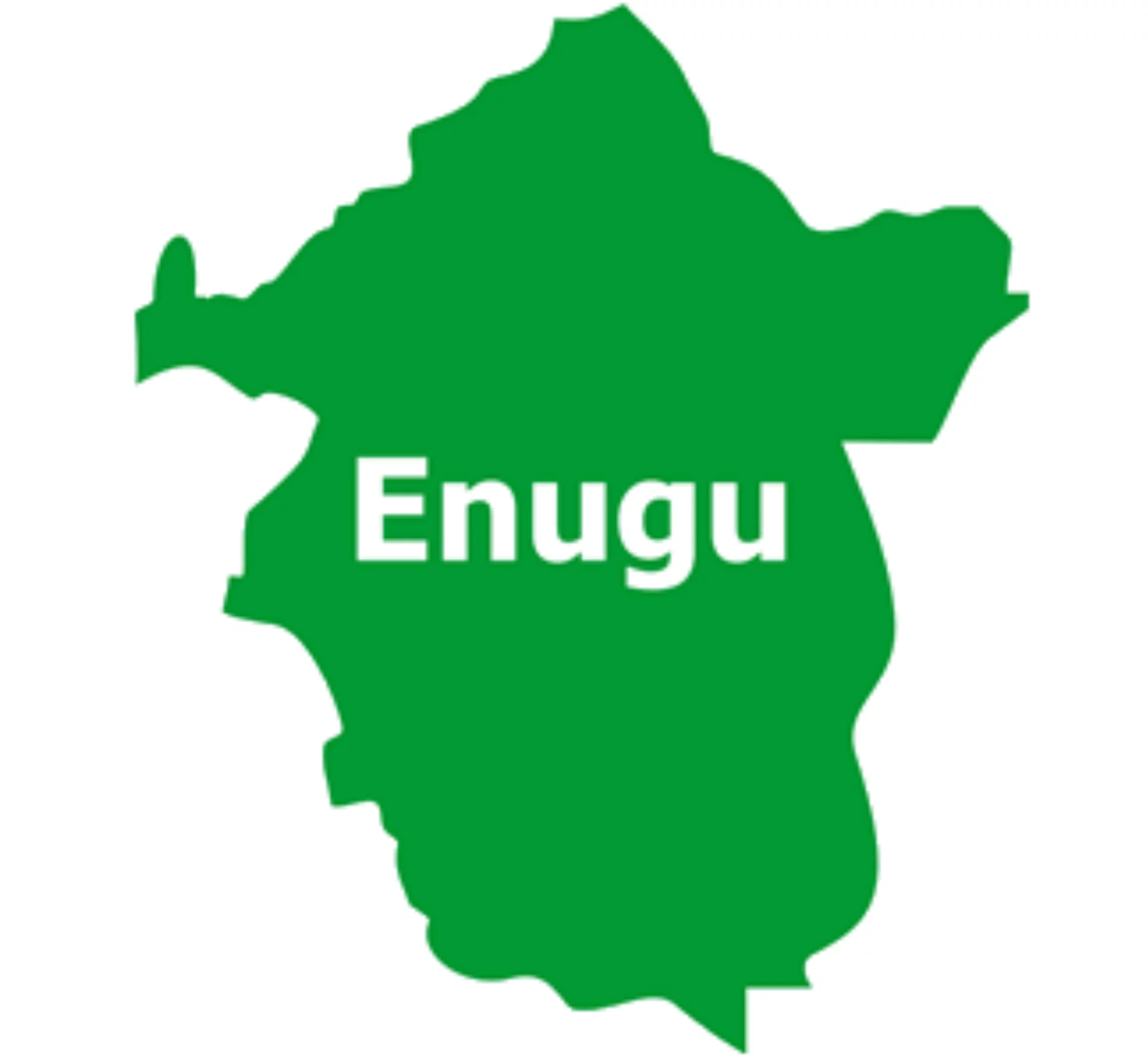 Enugu: Election of new Obeagu monarch, PG fake "“ Community leaders