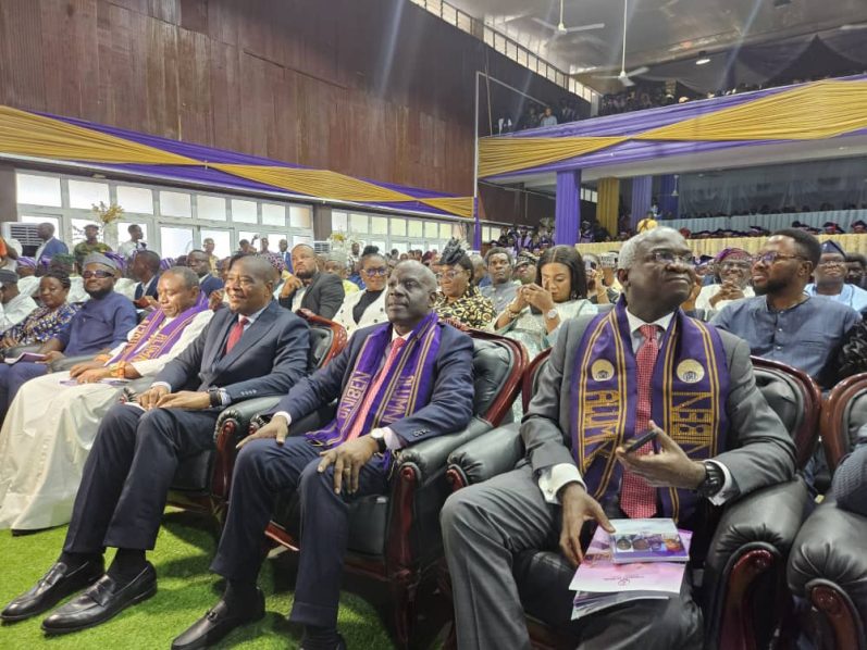 UNIBEN Honours Fashola, NUPRC Boss, Others