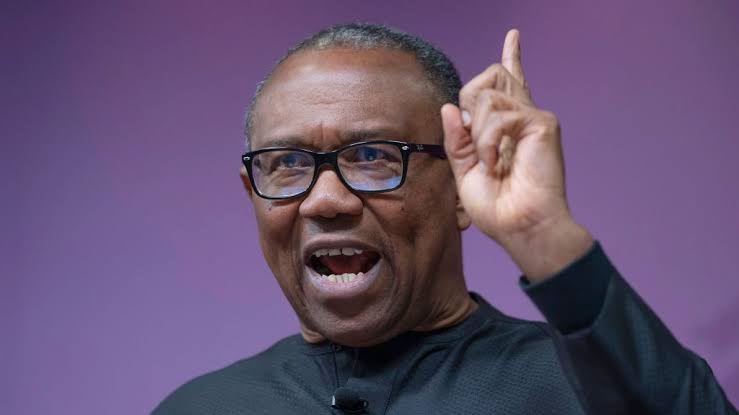 "˜We must stop waste,' Peter Obi berates Nigeria's "˜huge' delegation to COP28