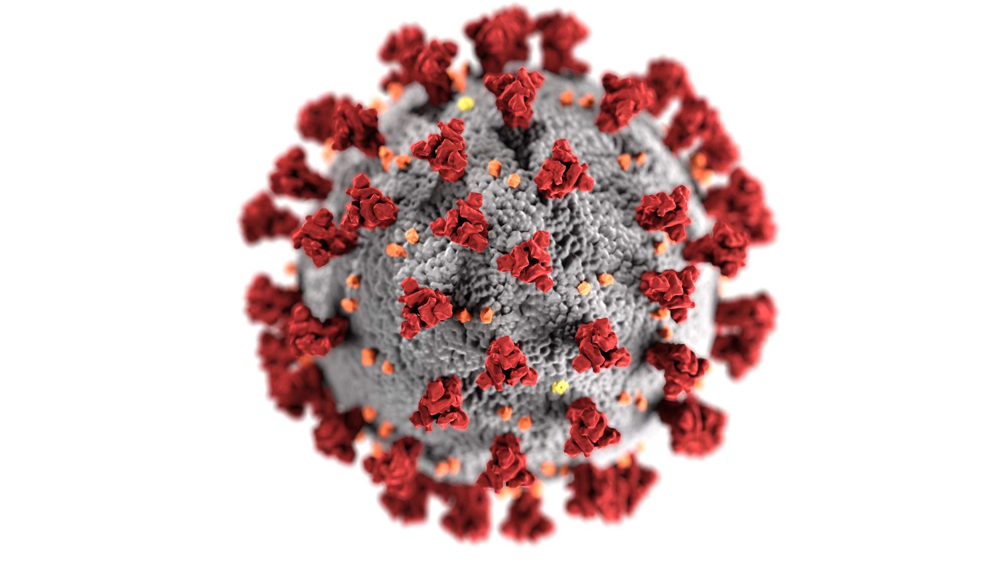 WHO confirms 25 new cases of COVID-19 in Nigeria