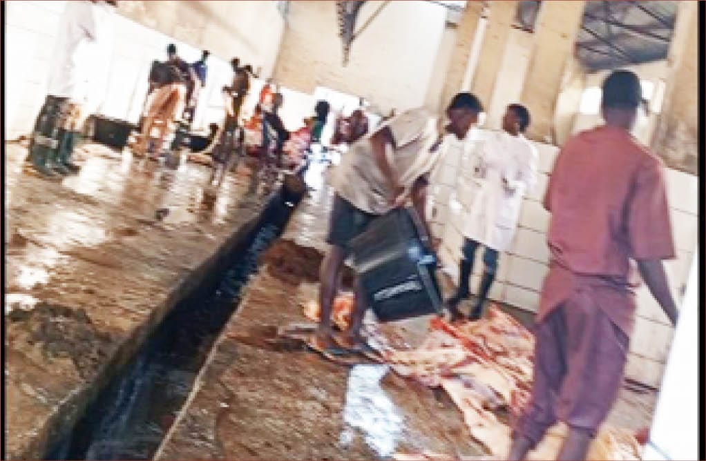 INVESTIGATION: Gory Tales From FCT Abattoirs