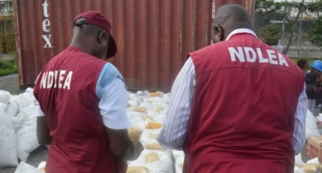 NDLEA Arrests Insurgents' Drug Supplier, Intercepts 7.6 Tons of Illicit Drugs