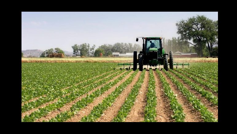 Don't lease our institution's lands to outsiders "“ NACHCARD to Nigerian govt