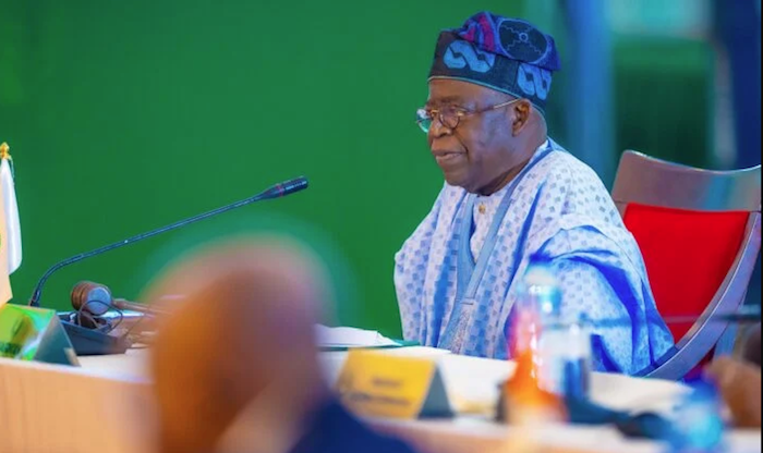 Tinubu Seeks Synergy And Coordinated Action To Tackle Economic, Security Issues in Africa
