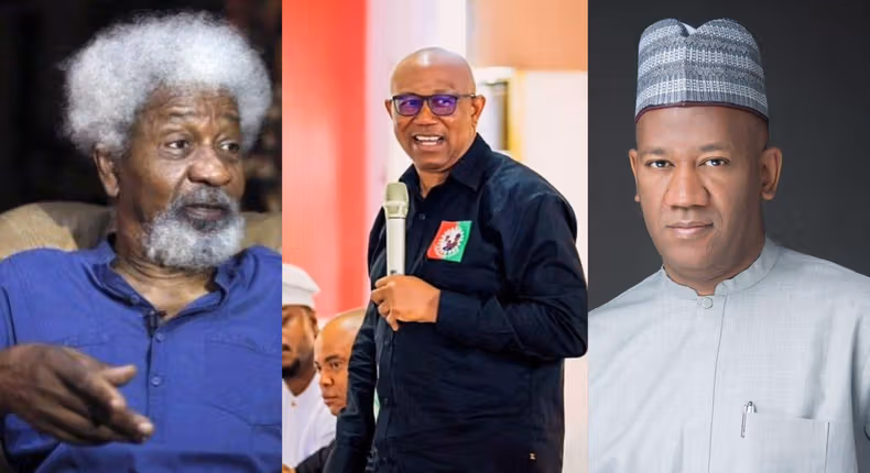 Fiery Datti claps back at Wole Soyinka for condemning Obi