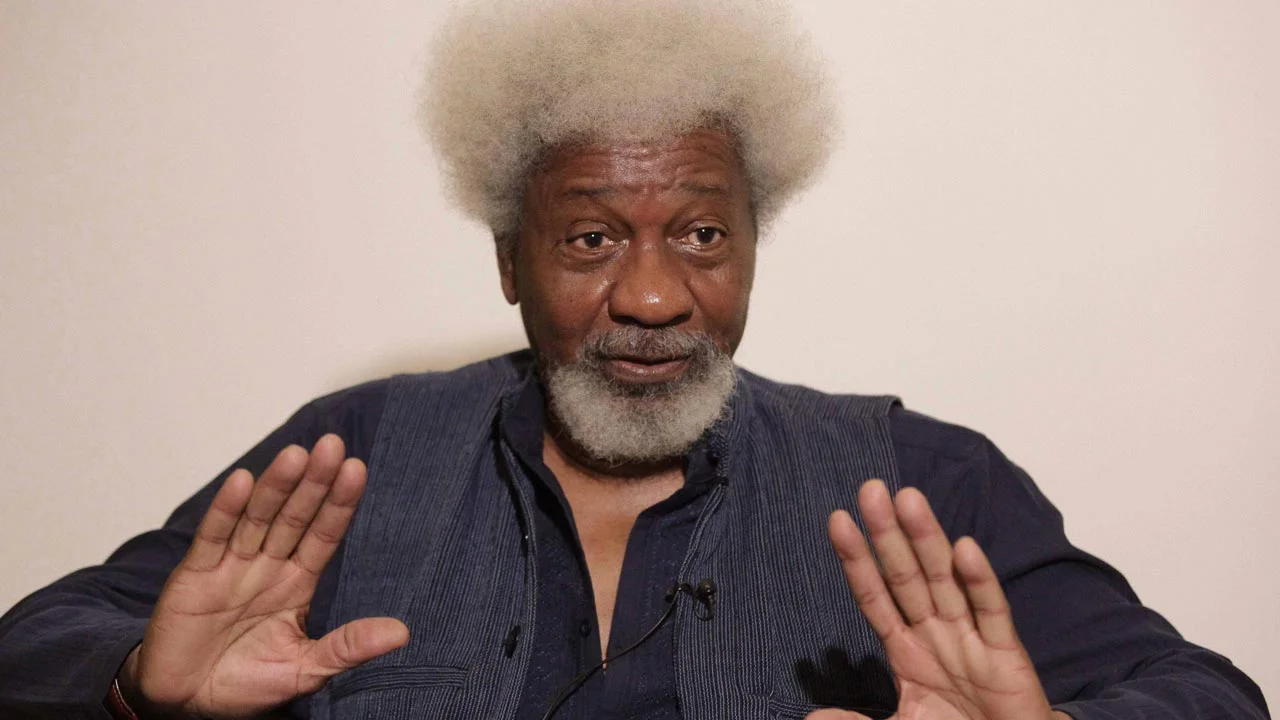 Sunday Igboho not criminal "“ Soyinka rebukes DSS, Buhari govt