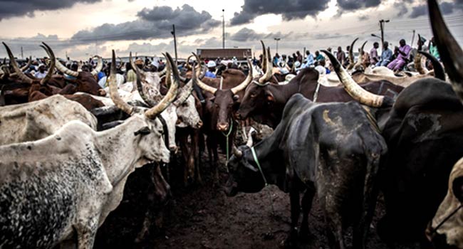 BREAKING: Okowa Signs Delta Anti-Open Grazing Bill Into Law