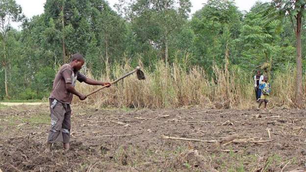 Militants abduct DR Congo farmers