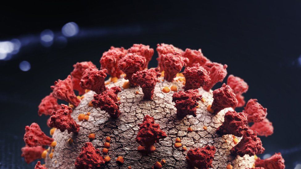 Covid: New heavily mutated variant B.1.1.529 in South Africa raises concern