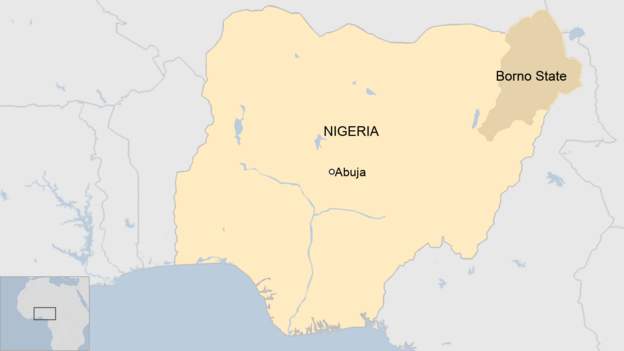 Food aid banned for Borno state's displaced