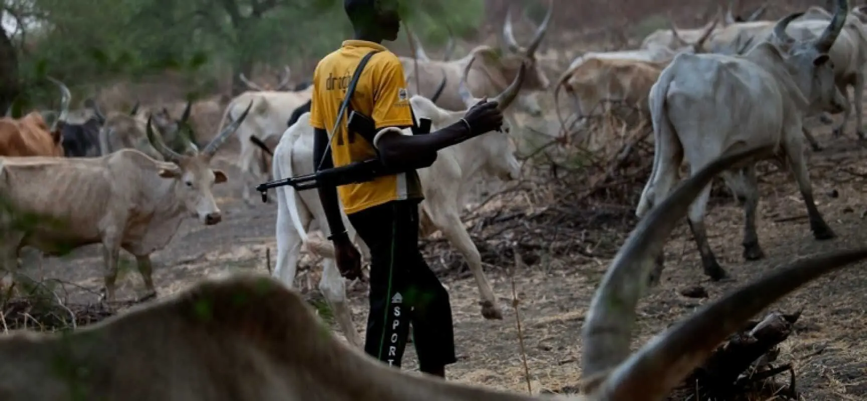 Tension as herdsmen kill three persons, set community ablaze in Ondo