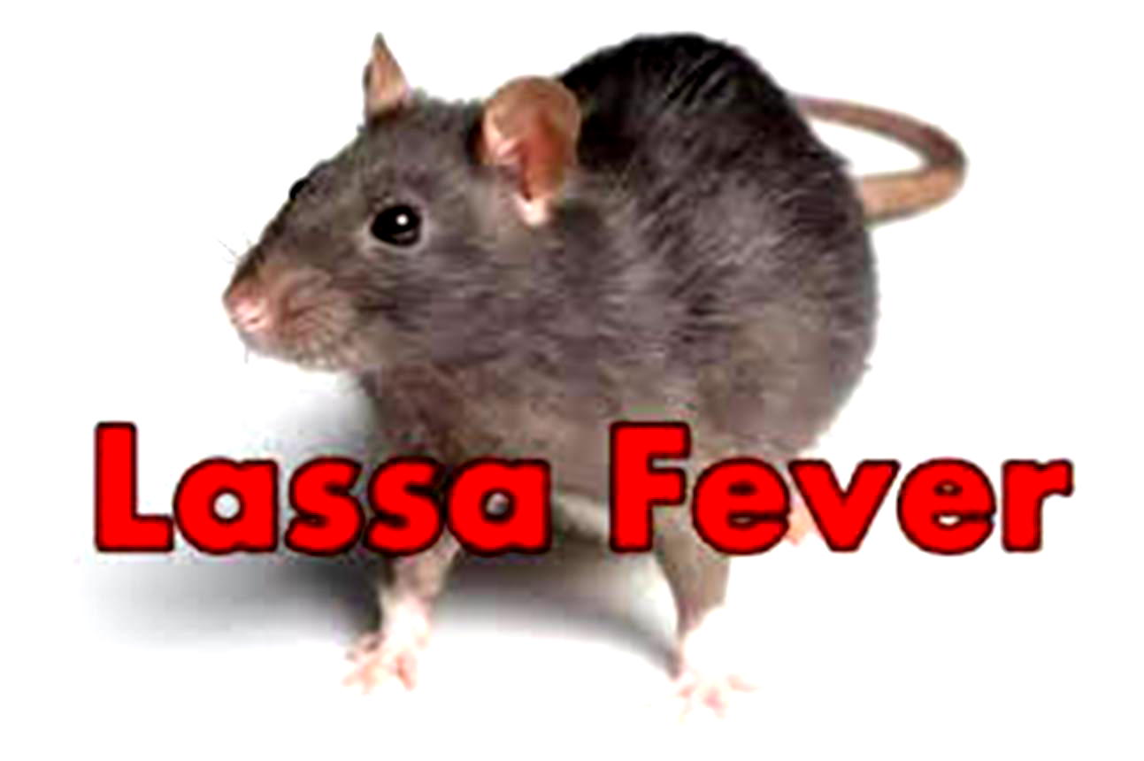 Lassa Fever kills Doctor, one other in Kaduna