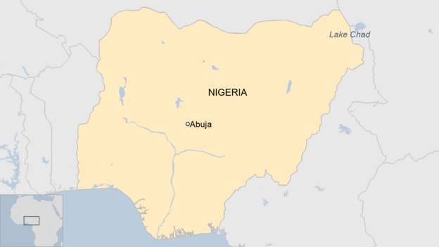 Senior Islamic State-linked commander killed - Nigeria