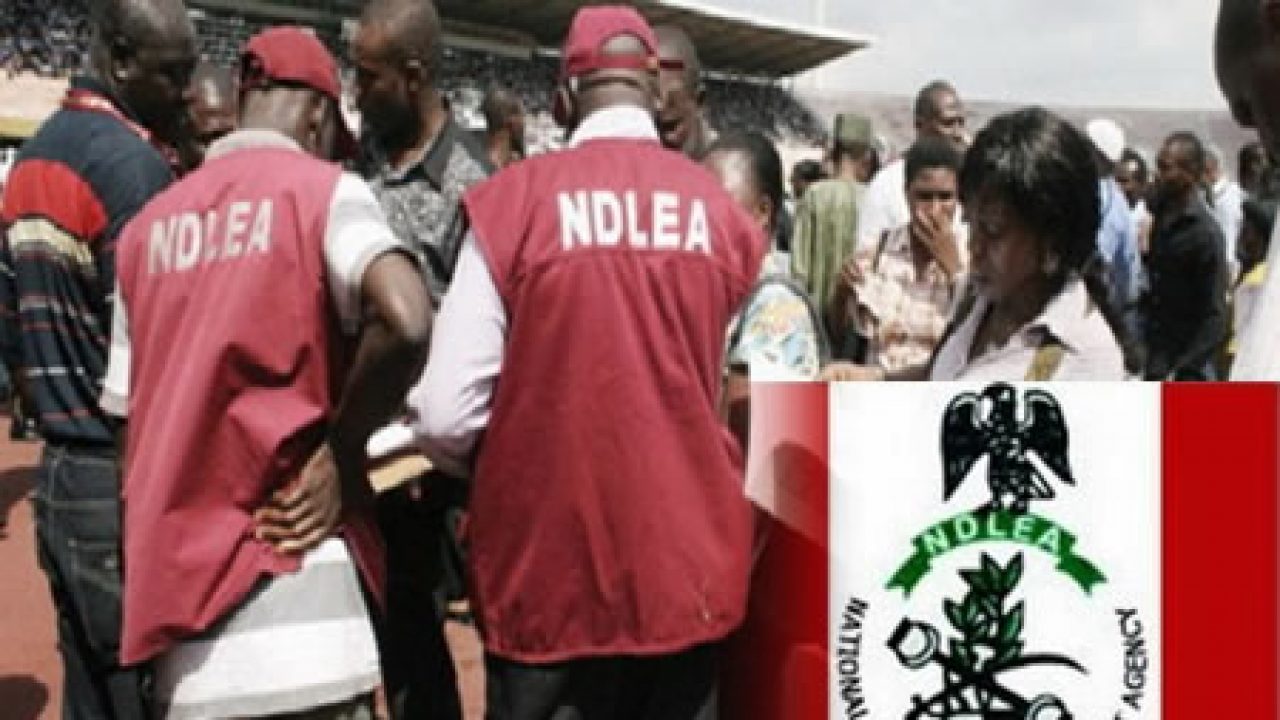 UKatu: NDLEA says alleged drug baron imported N22 billion worth of tramadol