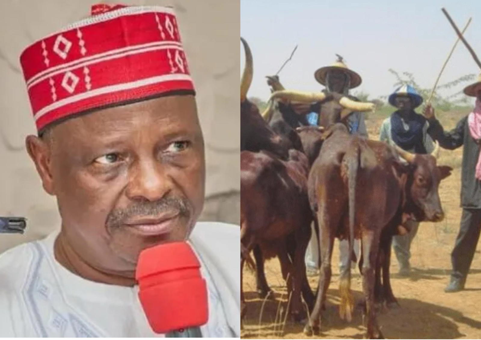 Christian persecution: US lawmakers mull visa ban, asset freeze against Kwankwaso, Miyetti Allah